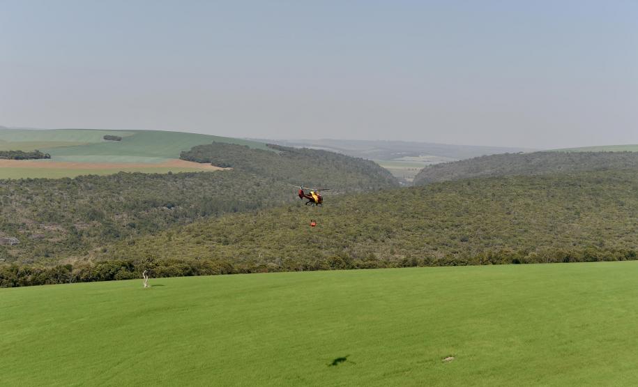 Foto de operação de queimada controlada no parque do Cerrado