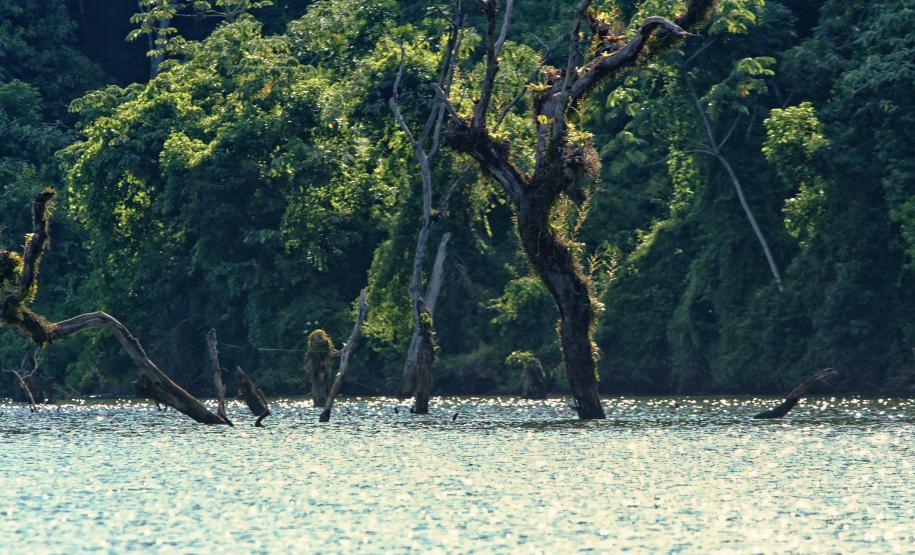 Foto de paisagem natural do Paraná