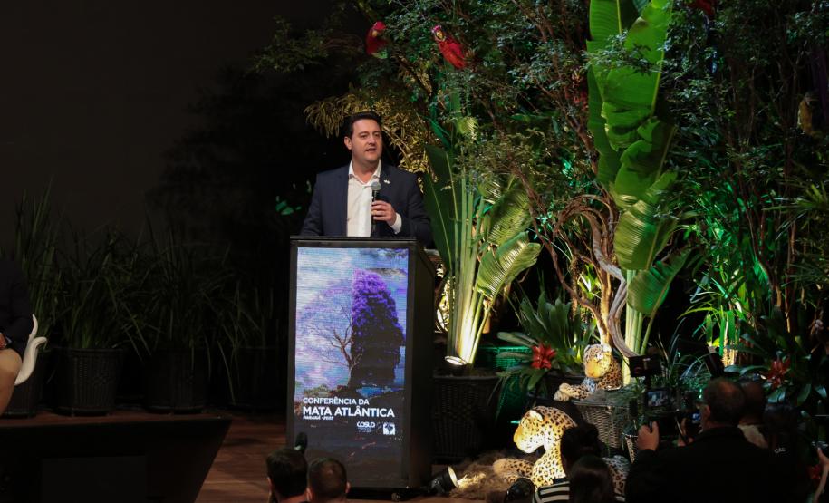 Foto de Governador palestrando em evento