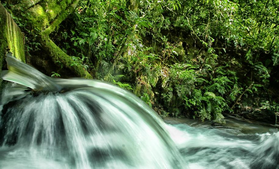 Foto de paisagem natural do Paraná