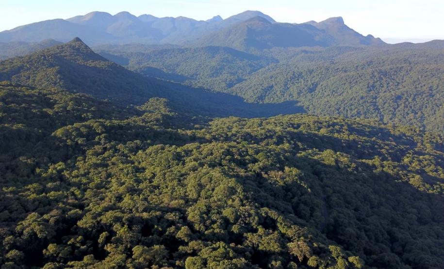 Foto aérea da Mata Atlântica