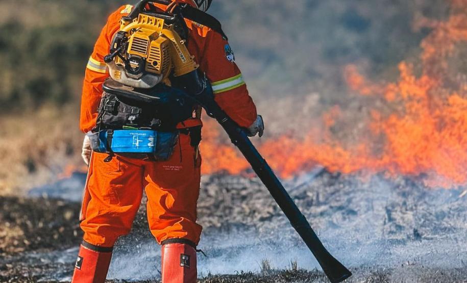 Dia do Voluntário: programas do IAT reúnem 1.594 pessoas em prol da preservação ambiental