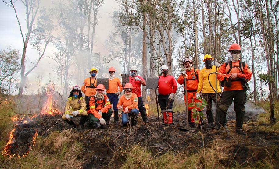 Dia do Voluntário: programas do IAT reúnem 1.594 pessoas em prol da preservação ambiental