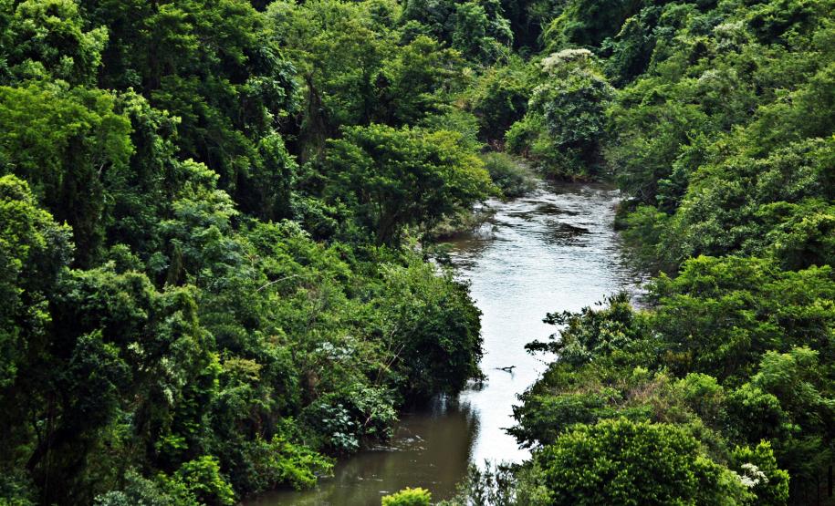 Foto de Bacia Hidrográfica Paranaense