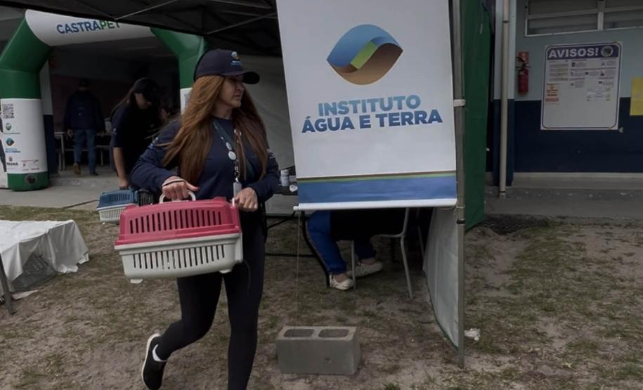 Passagem extra do CastraPet Paraná pela Ilha do Mel beneficia 102 animais