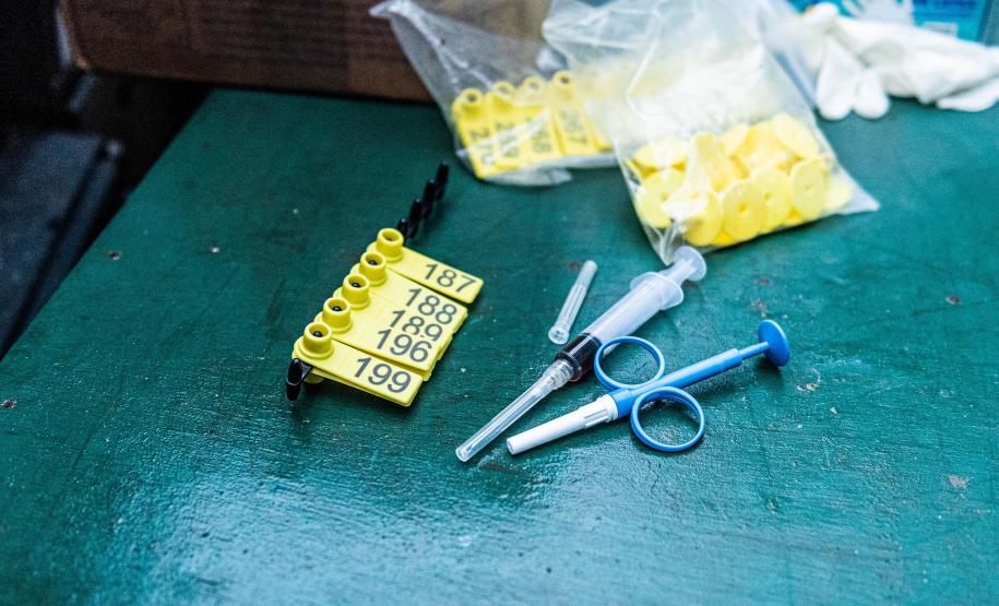 Parceria entre IAT e criadouro repovoou Parque das Lauráceas com mais de 500 animais