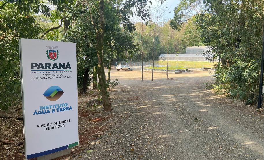 200 mil mudas por ano: Estado inaugura novas instalações do viveiro florestal de Ibiporã