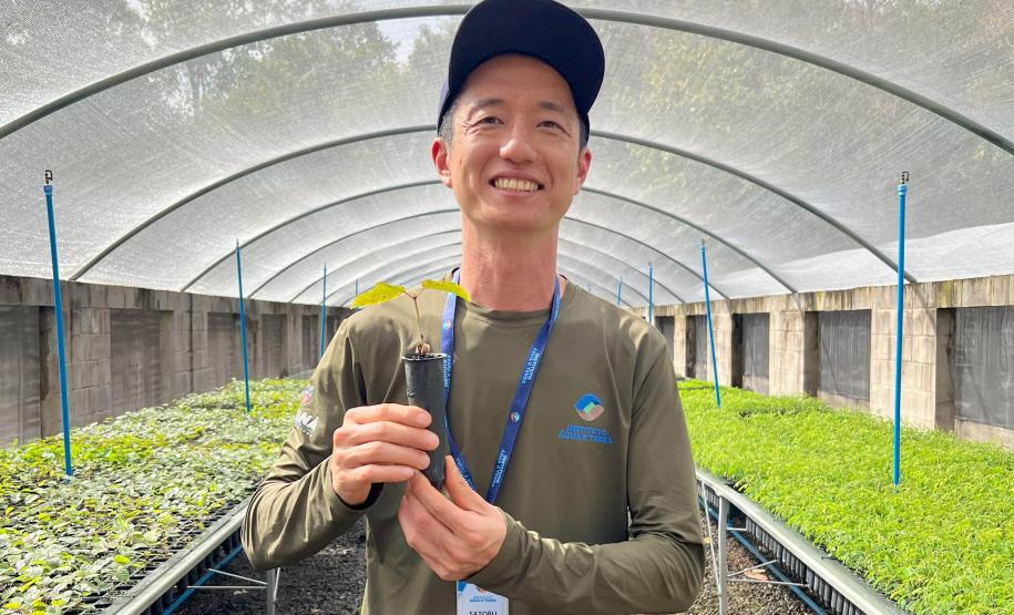 200 mil mudas por ano: Estado inaugura novas instalações do viveiro florestal de Ibiporã