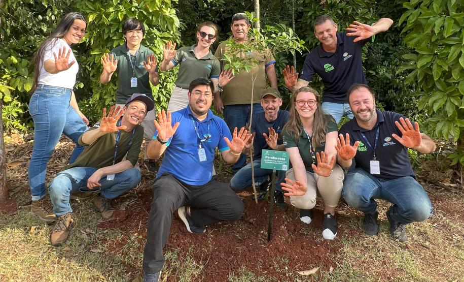 200 mil mudas por ano: Estado inaugura novas instalações do viveiro florestal de Ibiporã