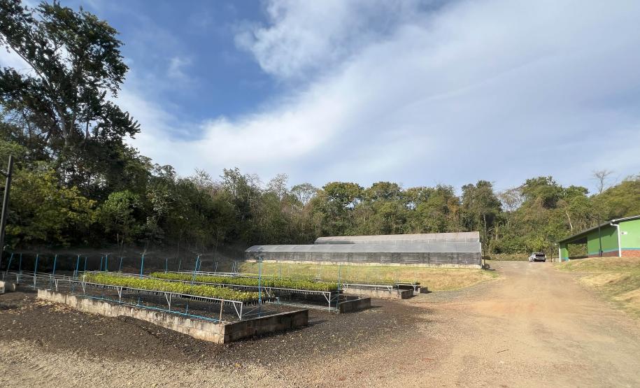 200 mil mudas por ano: Estado inaugura novas instalações do viveiro florestal de Ibiporã
