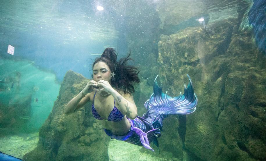 Portos do Paraná investe em manutenção e reforma do Aquário de Paranaguá