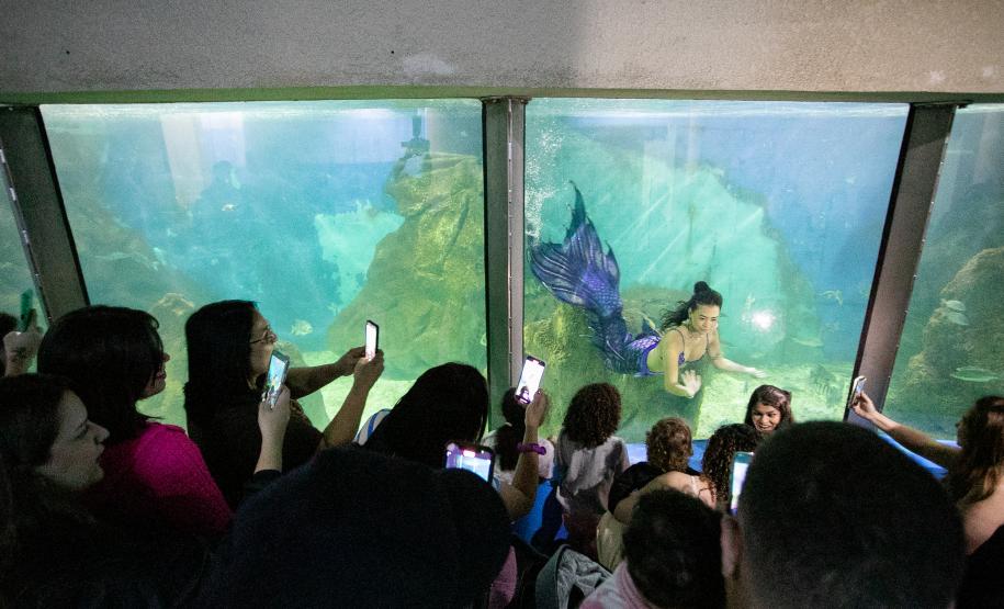 Portos do Paraná investe em manutenção e reforma do Aquário de Paranaguá