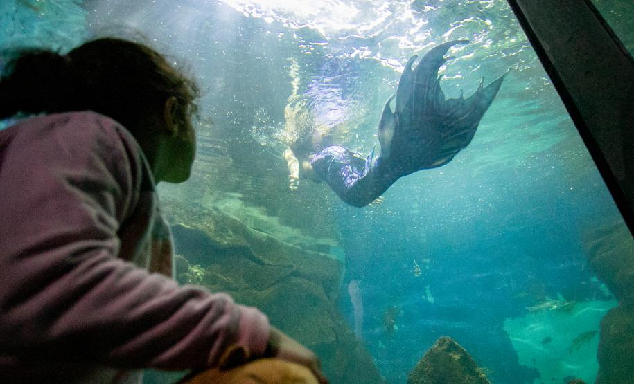 Portos do Paraná investe em manutenção e reforma do Aquário de Paranaguá