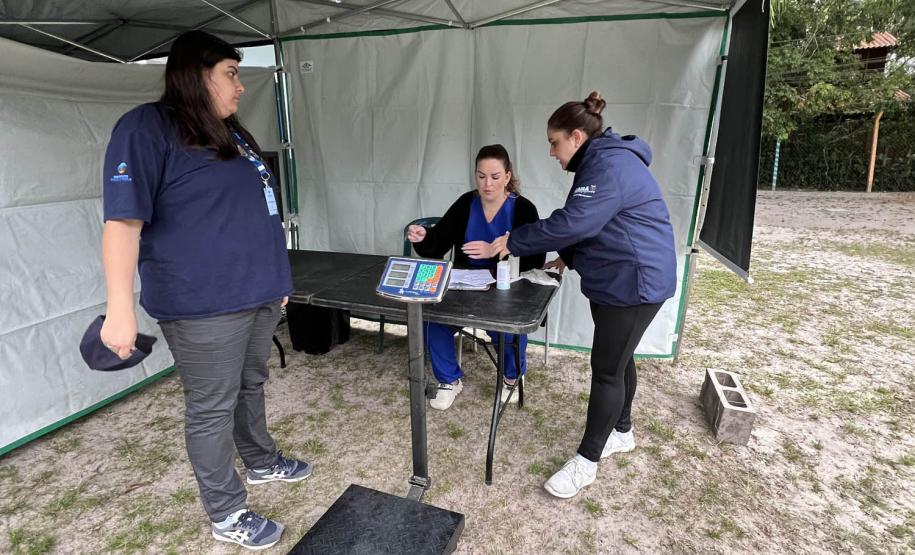 Passagem extra do CastraPet Paraná pela Ilha do Mel beneficia 102 animais