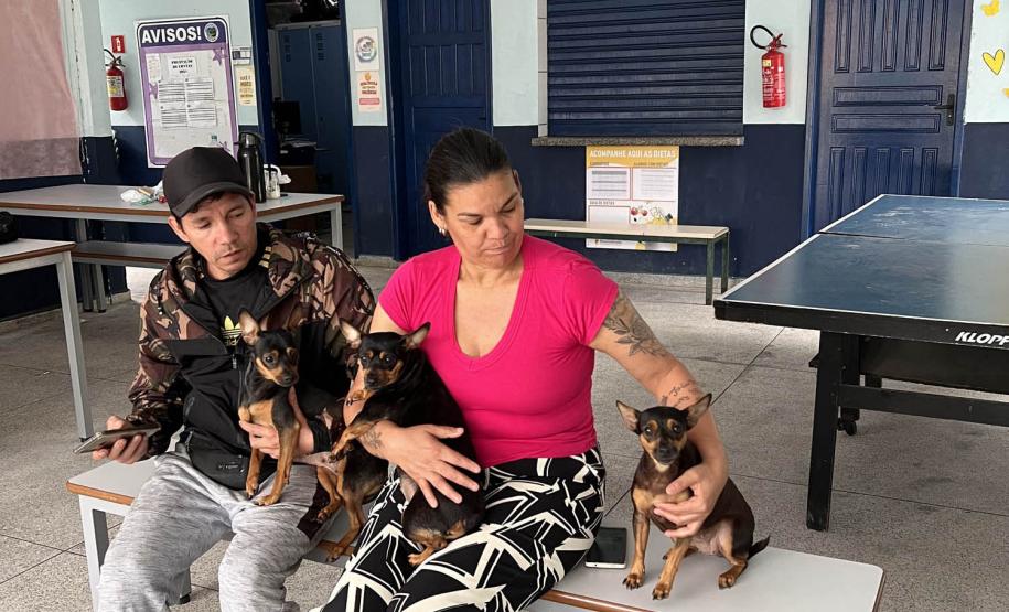 Passagem extra do CastraPet Paraná pela Ilha do Mel beneficia 102 animais