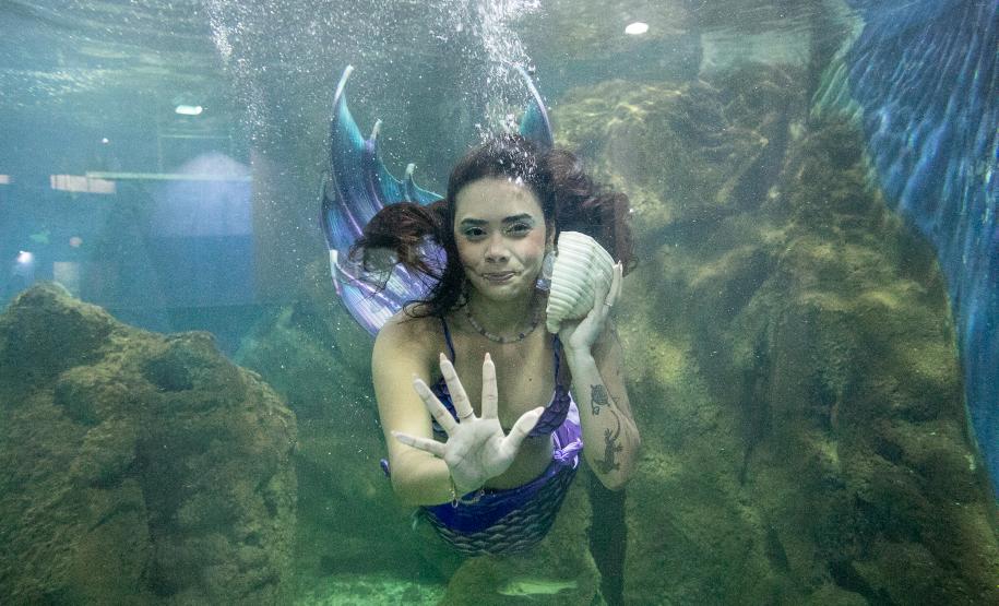 Portos do Paraná investe em manutenção e reforma do Aquário de Paranaguá