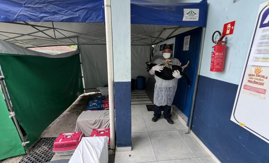 Passagem extra do CastraPet Paraná pela Ilha do Mel beneficia 102 animais
