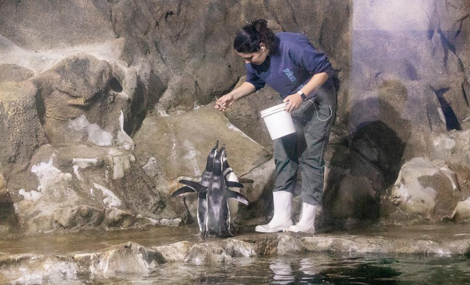 Portos do Paraná investe em manutenção e reforma do Aquário de Paranaguá