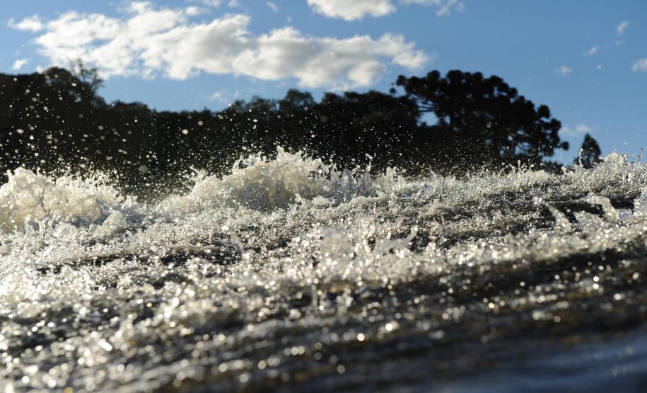 Plano de trabalho e eleição: dois comitês de bacias hidrográficas se reúnem na próxima semana