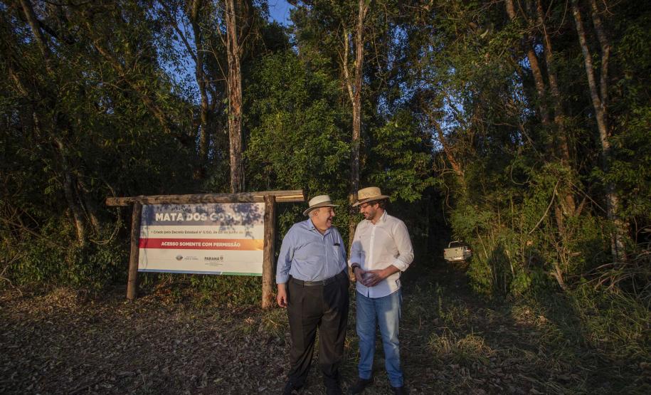 Referência em preservação no Norte do Paraná, Mata dos Godoy reabre após revitalização
