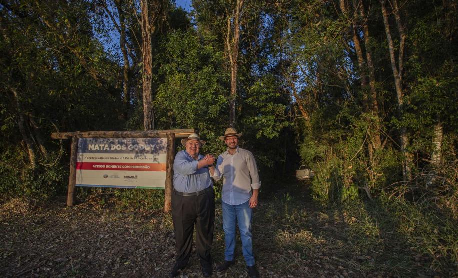 Referência em preservação no Norte do Paraná, Mata dos Godoy reabre após revitalização