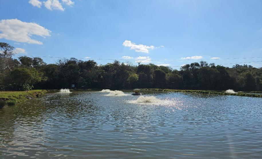 Operação do IAT contra uso irregular de recursos hídricos gera R$ 1 milhão em multas