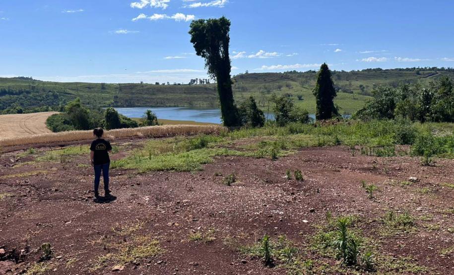 IAT aplica R$ 2,9 milhões em multas ambientais durante a Operação Mata Atlântica em Pé