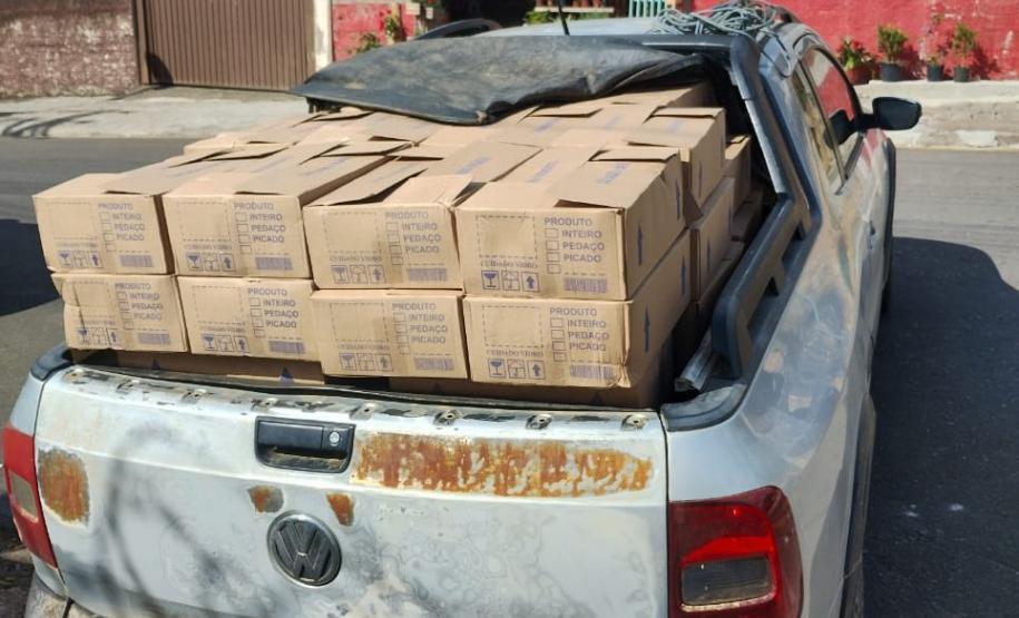 IAT apreende 288 quilos de palmito ilegal na Região Metropolitana de Curitiba