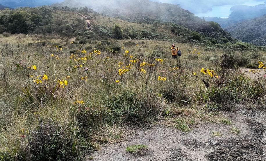 Foto de voluntários em operação