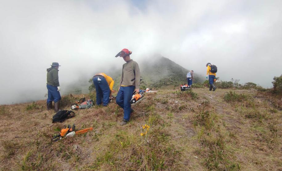 Foto de voluntários em operação