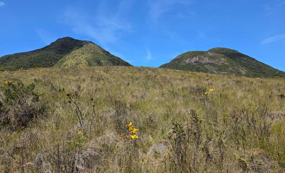 Foto de voluntários em operação