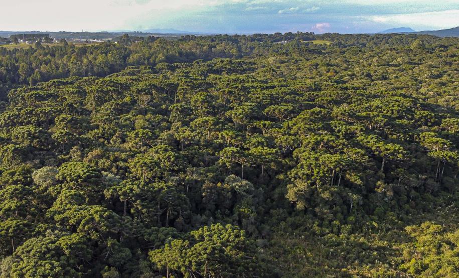 Governo do Estado propõe projeto para regularização de dívidas ambientais e de ICMS