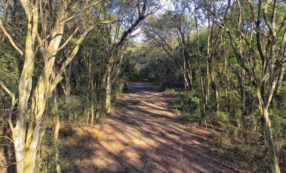Parque Estadual de Amaporã volta a receber visitantes sem agendamento prévio