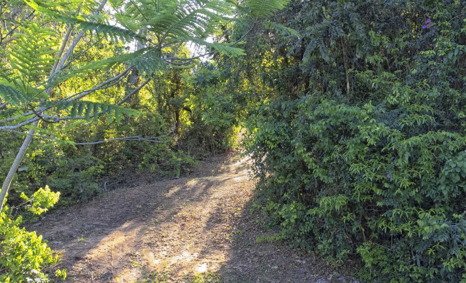 Parque Estadual de Amaporã volta a receber visitantes sem agendamento prévio