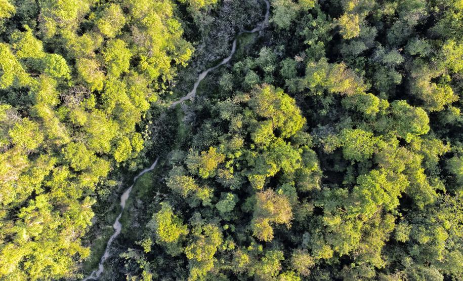 Parque Estadual de Amaporã volta a receber visitantes sem agendamento prévio