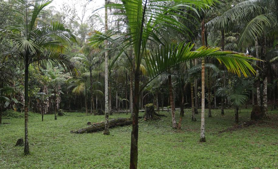 Estado moderniza estrutura de três Unidades de Conservação do Litoral