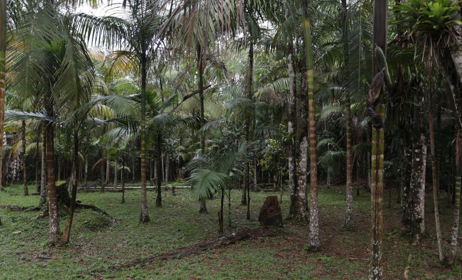 Estado moderniza estrutura de três Unidades de Conservação do Litoral