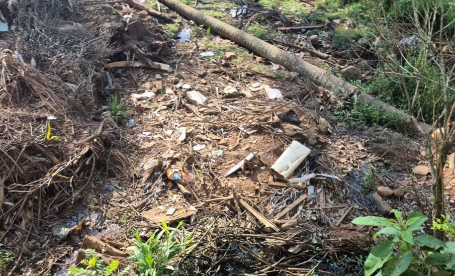 Foto de área multada pelo IAT