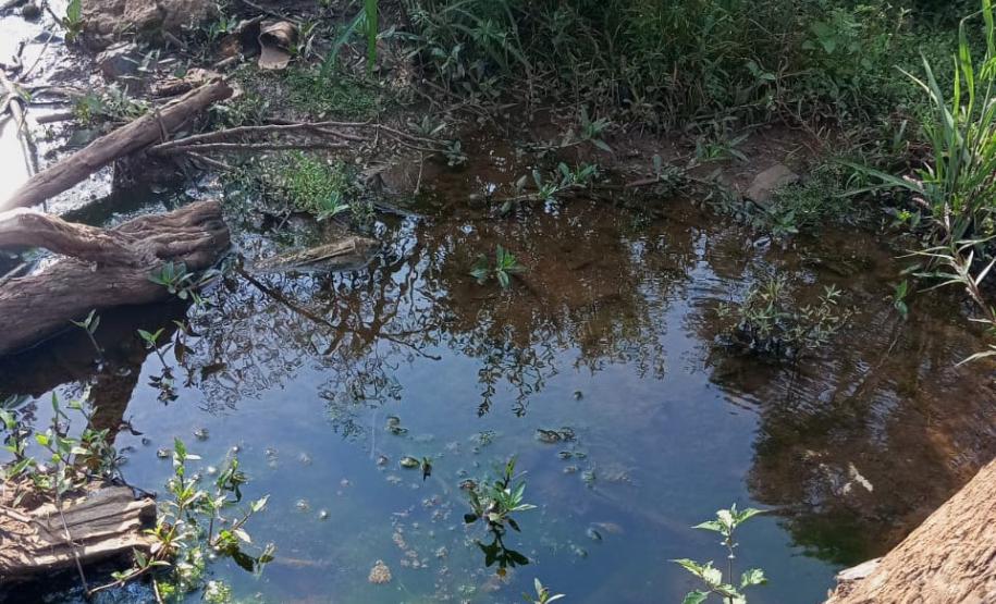 Foto de área multada pelo IAT