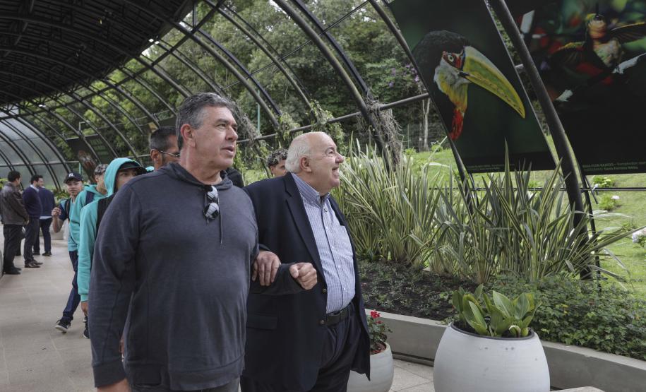 Exposição “Fauna da Mata Atlântica” entra em cartaz no Jardim Botânico de Curitiba