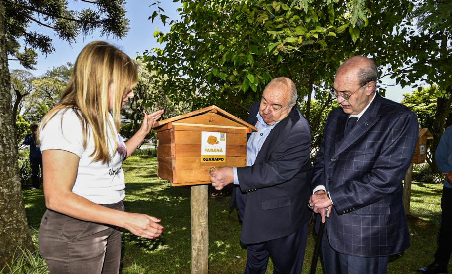 Palácio da Justiça ganha mais um jardim de mel do Poliniza Paraná