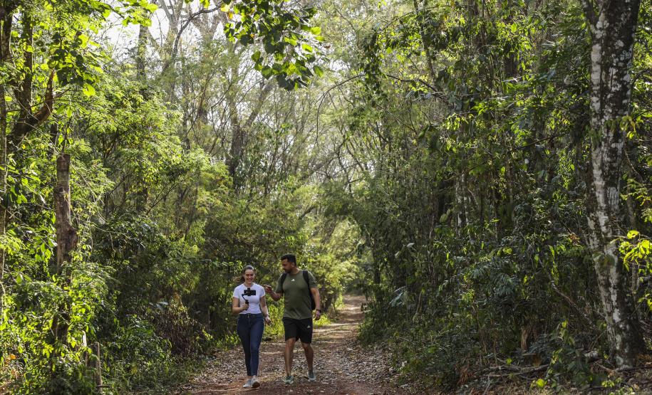 Aventura na mata: cinco trilhas para explorar nas Unidades de Conservação do Paraná
