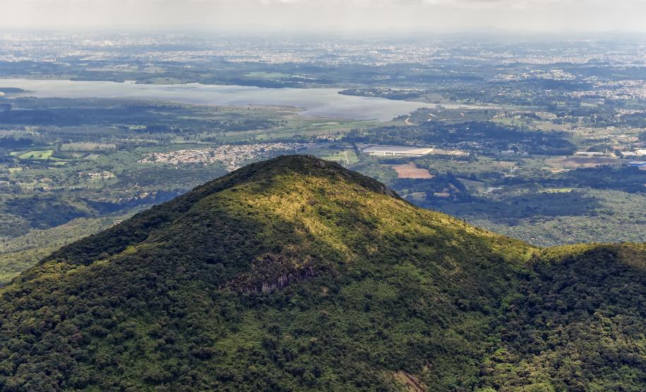 Aventura na mata: cinco trilhas para explorar nas Unidades de Conservação do Paraná