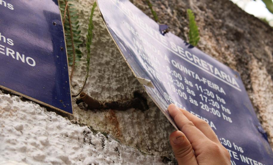 Abelhas sem ferrão transformam escolas do Paraná em laboratórios ambientais