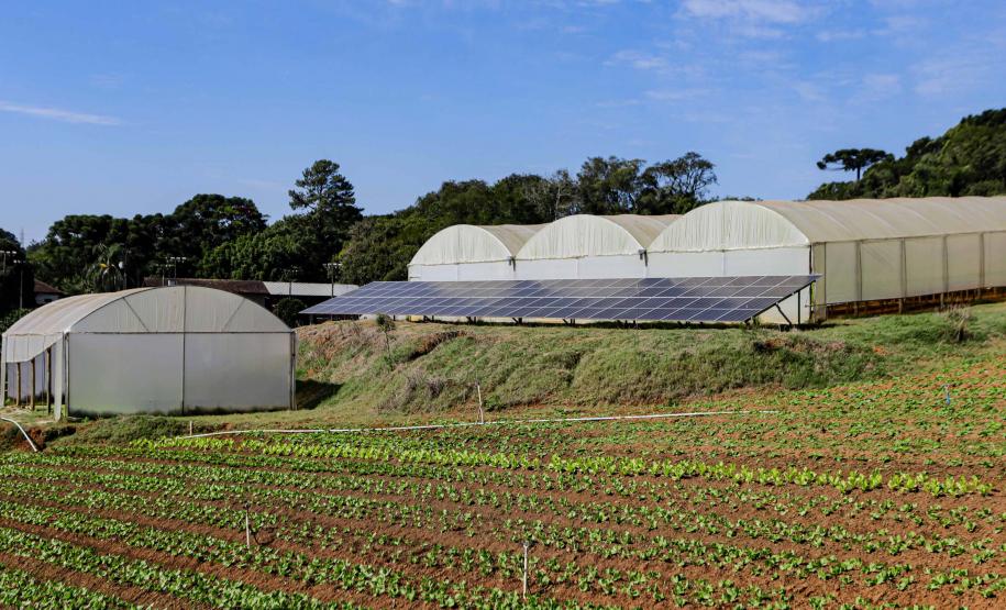 Paraná tem planos estratégicos para agricultura sustentável, segurança hídrica e descarbonização