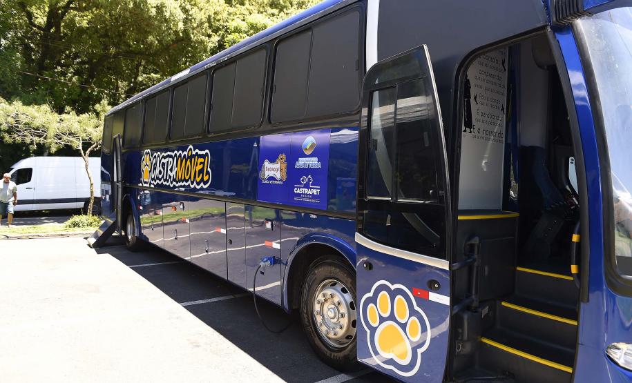 Com previsão de 105 mil castrações, maior ciclo do CastraPet começa nesta quinta