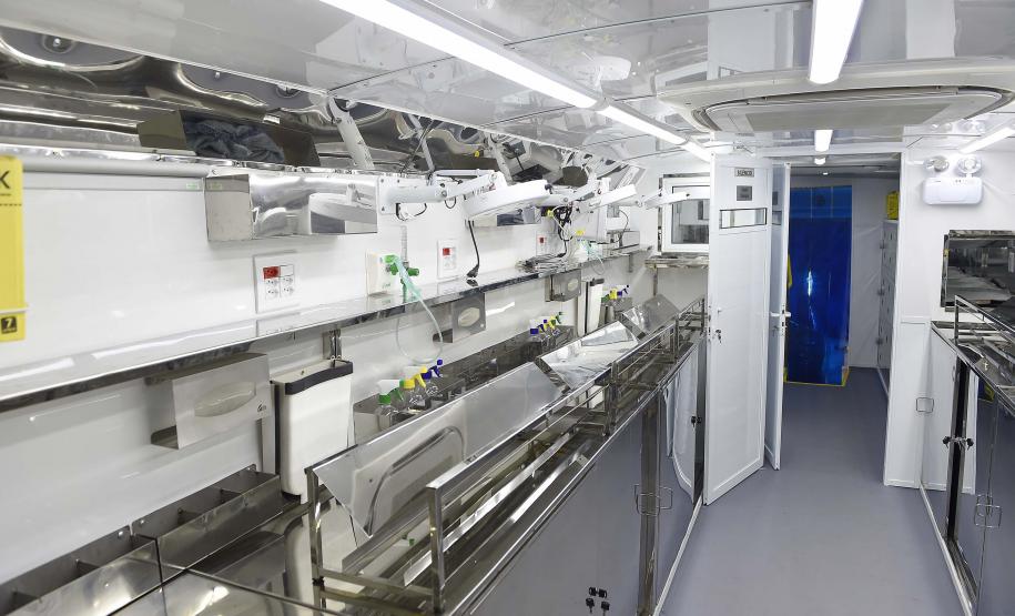 Com previsão de 105 mil castrações, maior ciclo do CastraPet começa nesta quinta