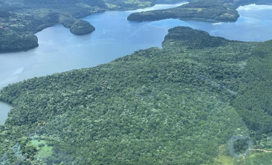 Com 280 hectares, IAT formaliza a criação de nova Unidade de Conservação em Bituruna