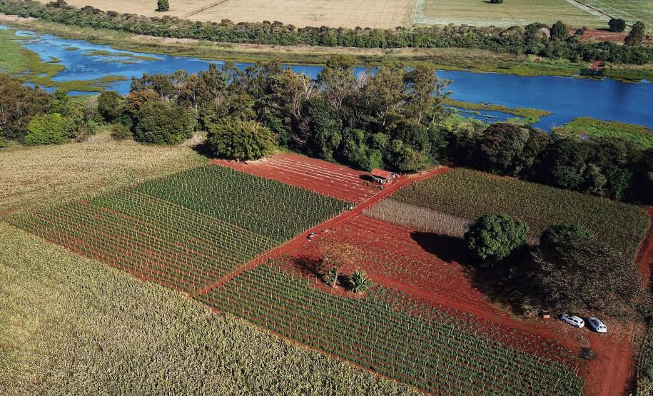 Paraná tem planos estratégicos para agricultura sustentável, segurança hídrica e descarbonização