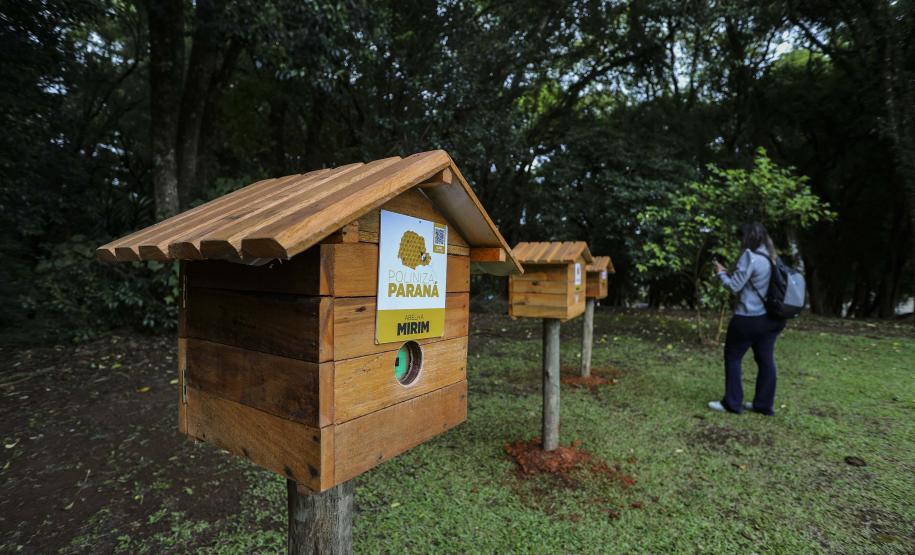 Foto de cerimônia de instalação de meliponários